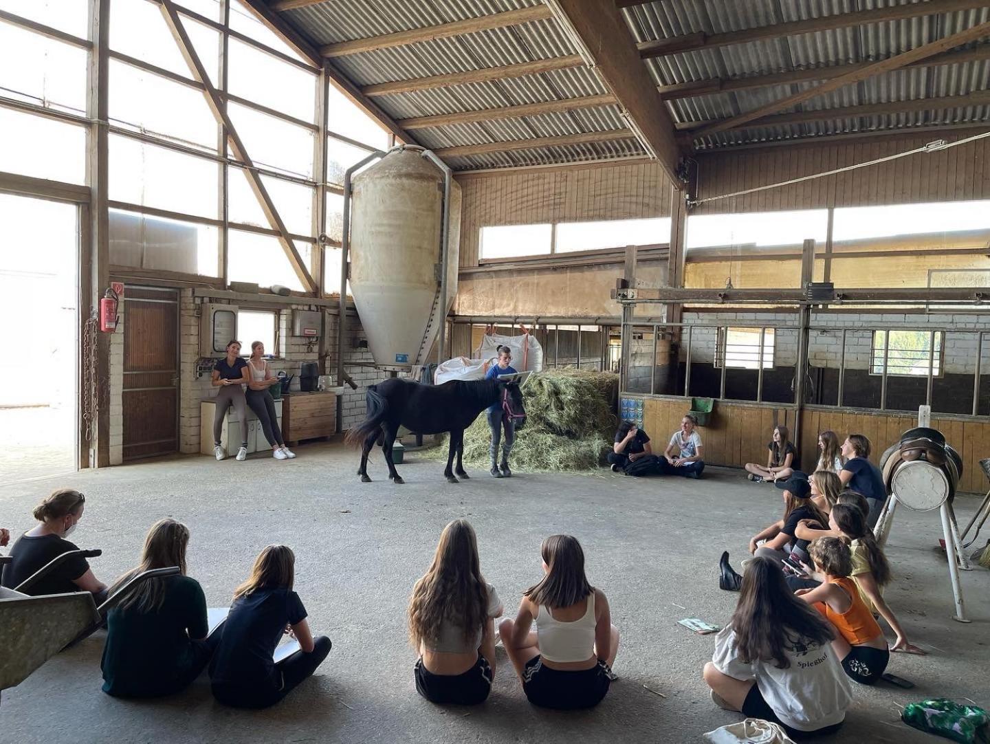 Pension & Reitschule Fuchsenhof Seebarn Buitenkant foto